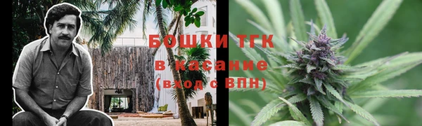 шишки Алексин