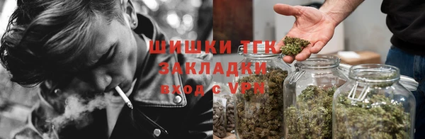 шишки Алексин