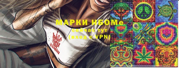 соль ск Кукмор