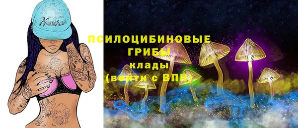 метадон Алексеевка