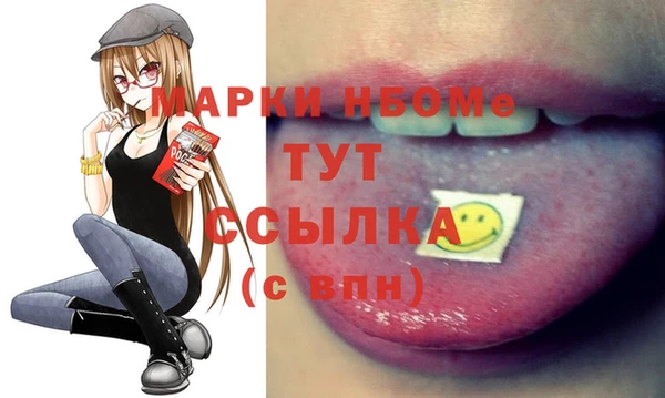 гидра Каменка